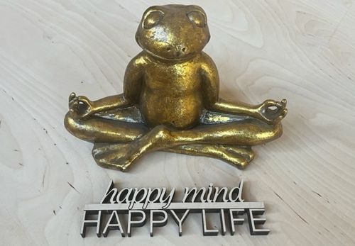 happy mind, HAPPY LIFE